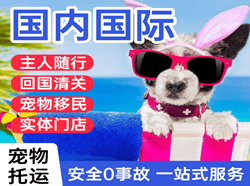 咸阳航空物流国际宠物托运 【国